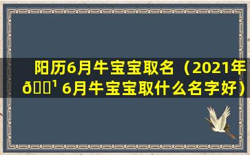 阳历6月牛宝宝取名（2021年 🌹 6月牛宝宝取什么名字好）